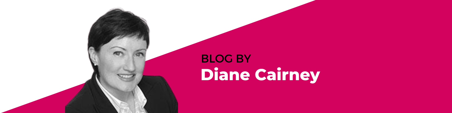 Author Diane Cairney Litigation