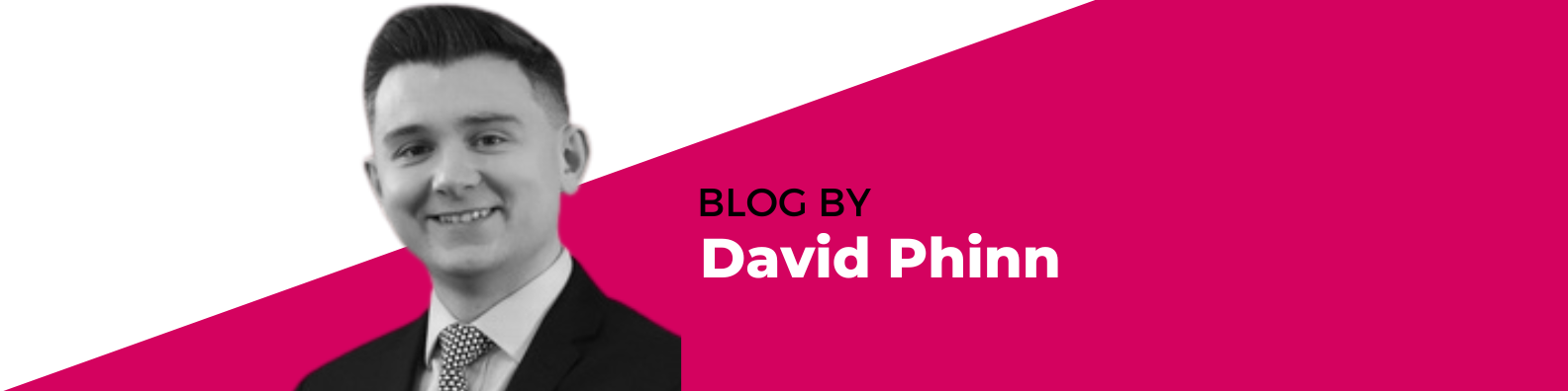 Author David Phinn Litigation