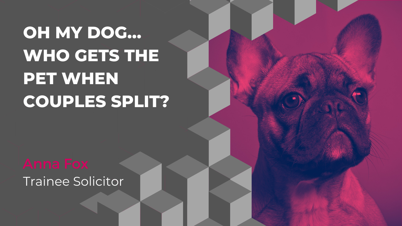 Oh my DOG… who gets the pet when couples split?