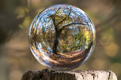 Our pledge to be a net-zero firm by 2035