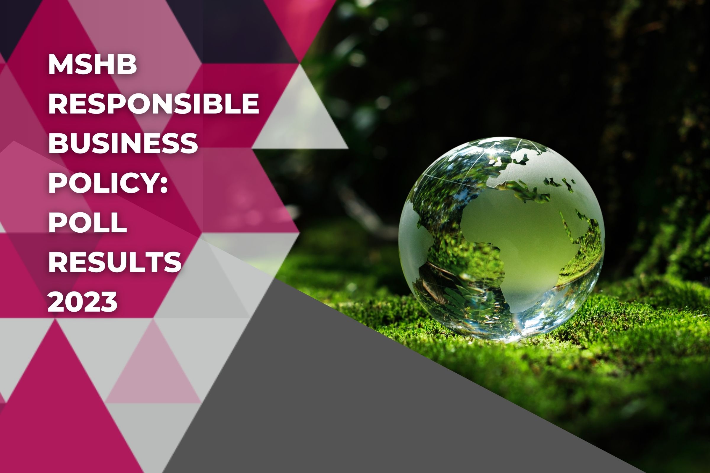 MSHB Responsible Business Policy: Poll Results 2023