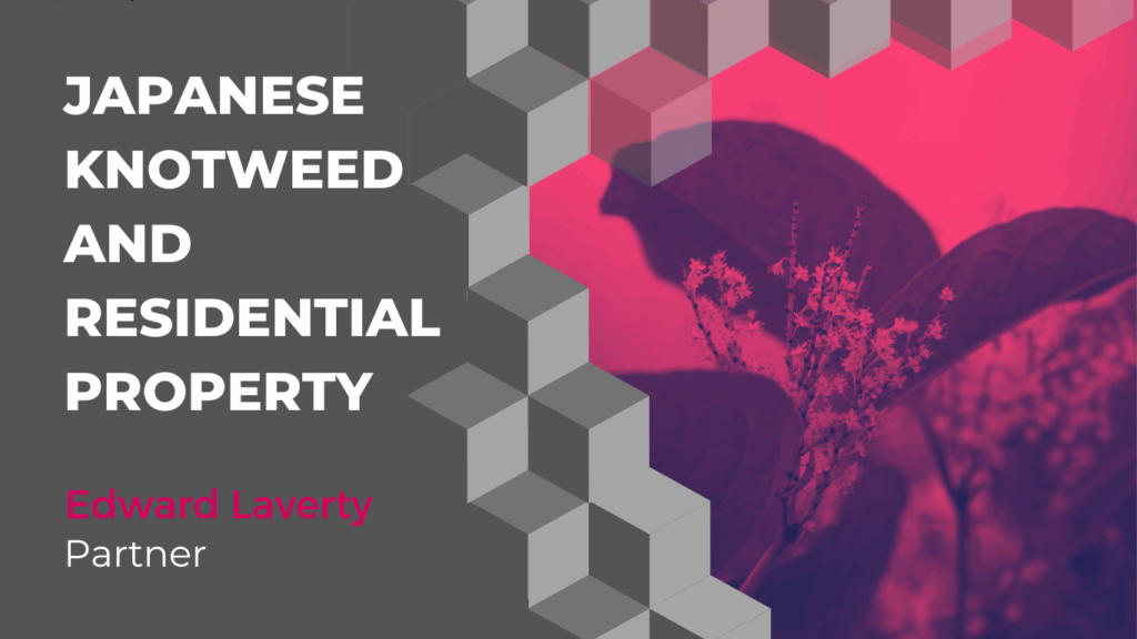 Japanese Knotweed and Residential Property