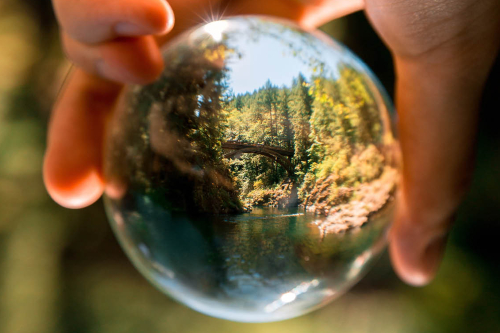 COP, Carbon & Commercial Property